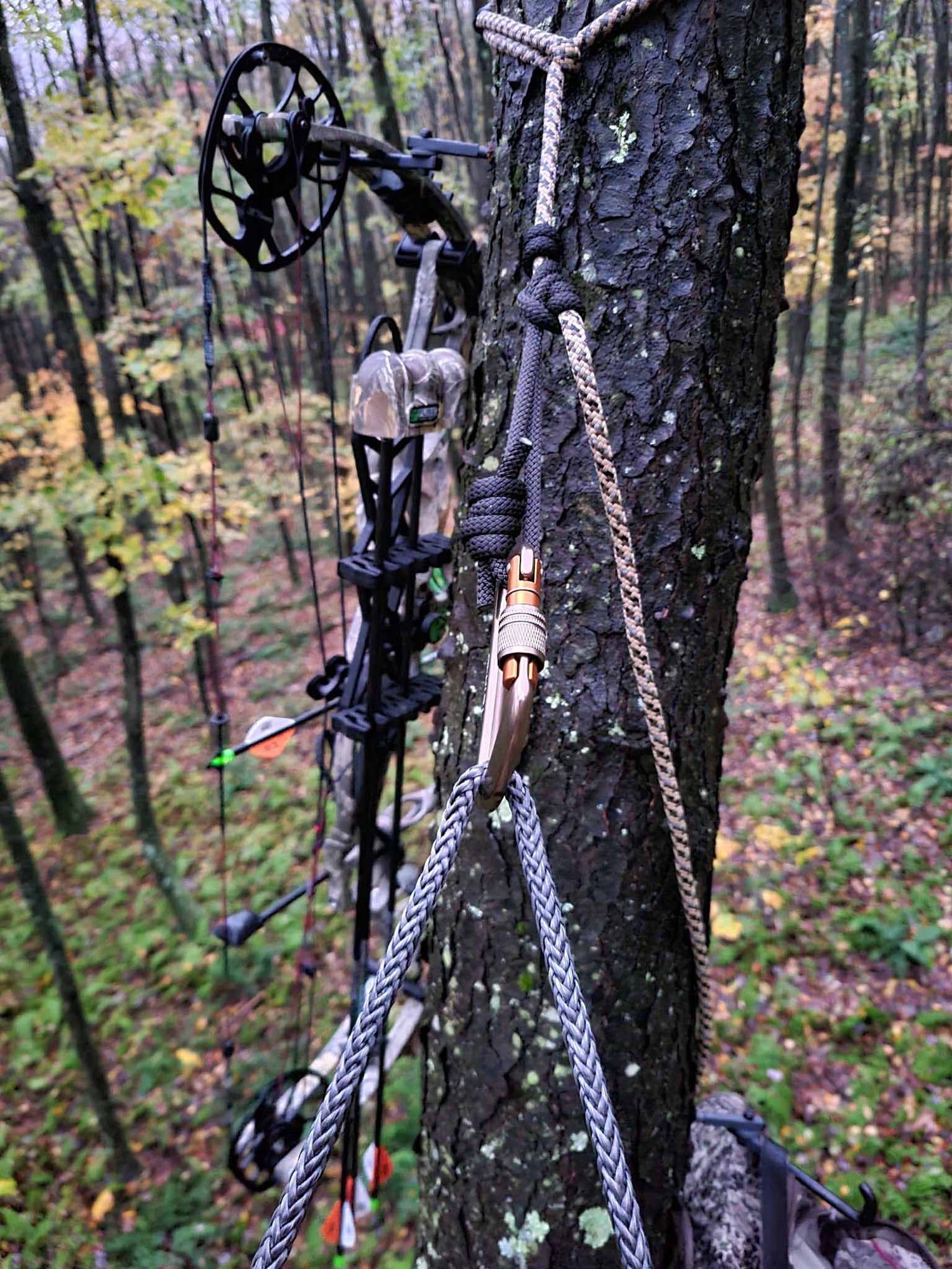 Saddle hunting setup in tree with bow and arrow